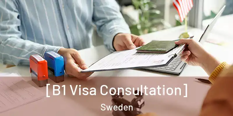  [B1 Visa Consultation] Sweden